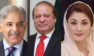 PML-N