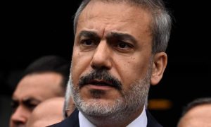 Brazil, G20, Gaza, Turkish, Foreign Minister, Russia, Ukraine, Türkiye,