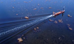 Oil spill