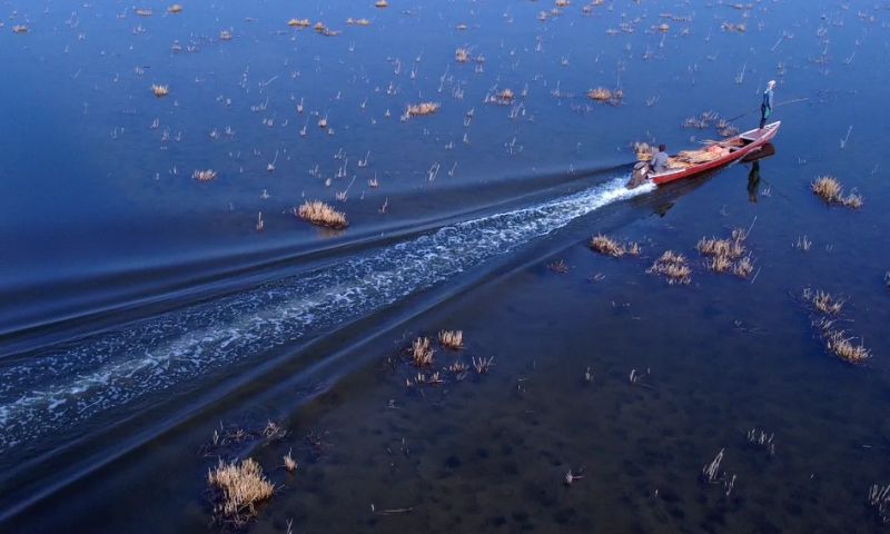 Oil spill