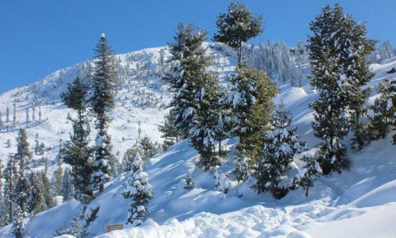 Pakistan