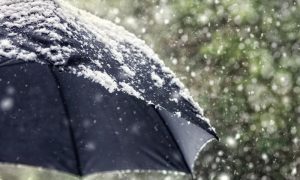 Rain
