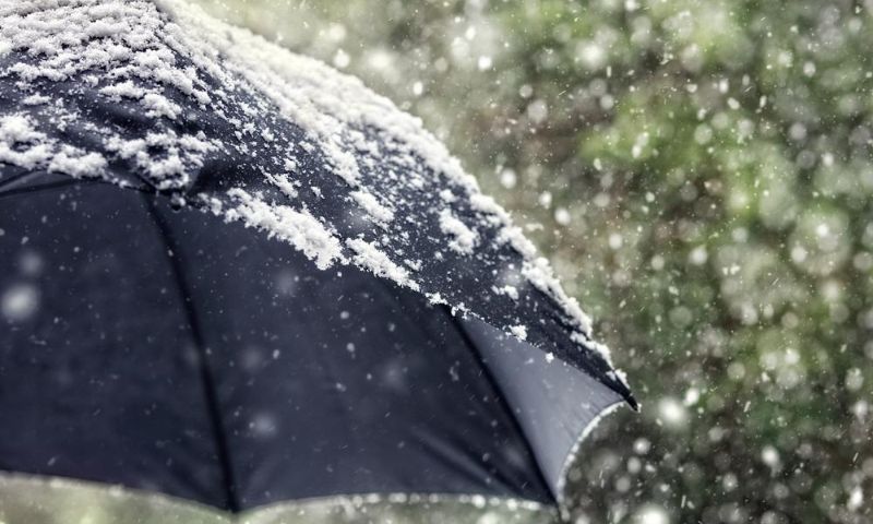 Rain