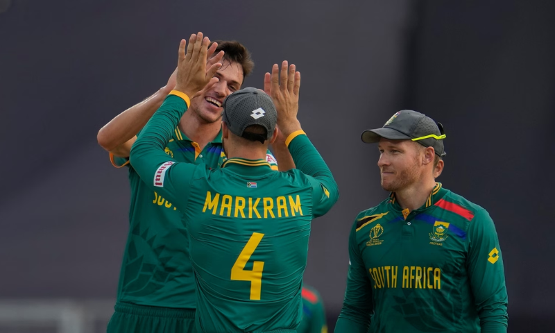 South Africa's Fightback Powered by Dedicated All-Rounders' Efforts