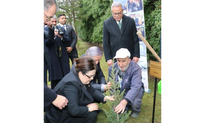 Pakistan, Embassy, Ankara, Turkiye, Earthquake, President, Recep Tayyip Erdogan, Friendship, Governor, Ambassador, Turkish