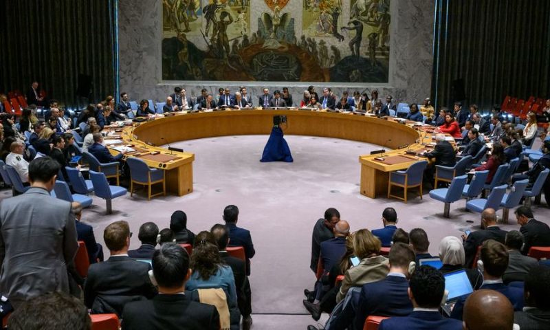 UN Security Council,