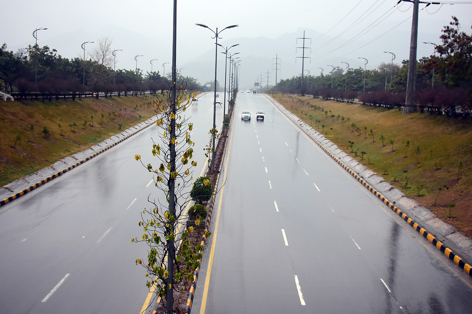 Rain