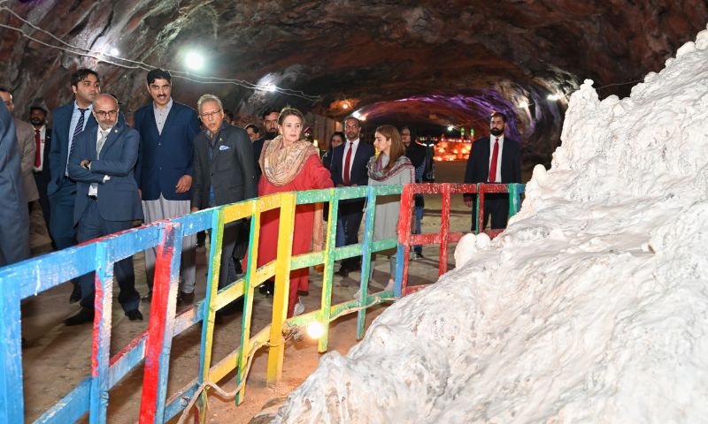 President, Dr Arif Alvi, book, pink, salt, Khewra Salt Mine, markets, technology, Development