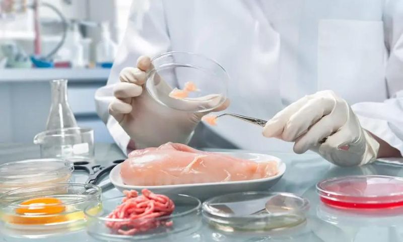 Saudi Food and Drug Authority, OIC, Training Workshop, Food, Regulation, Kingdom of Saudi Arabia, Kingdom, Pakistan, Bangladesh, Qatar, Morocco, Côte d'Ivoire, Senegal, Maldives, Yemen, Uganda, Oman, Jordan