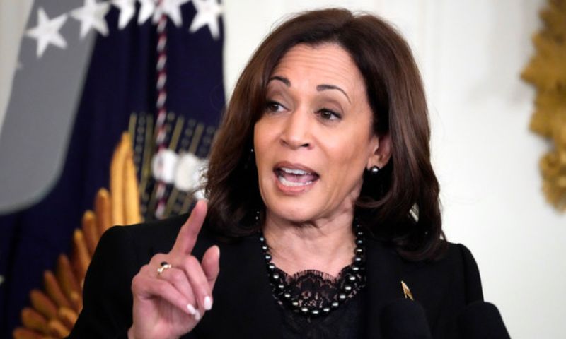 White House, President Joe Biden, election year, Vice President Kamala Harris