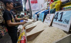 Philippine, Rice, Agriculture, US,