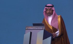 Saudi Arabia, Developing, Crown Prince, Prime Minister, Mohammed bin Salman, environment, work, supportive, challenges
