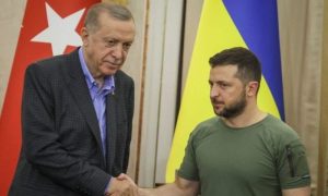 Ukraine, Russia, Conflict, Turkey, Diplomacy, Zelensky,