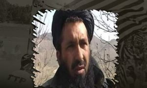 Hafiz Gul Bahadur