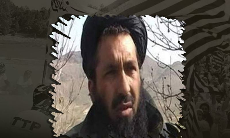 Hafiz Gul Bahadur