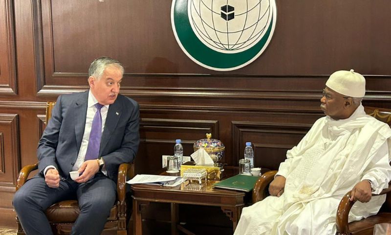 Secretary-General, Organization of Islamic Cooperation, OIC, Hissein Brahim Taha, Foreign Affairs, Tajikistan, support, Palestinian, Gaza, Israeli