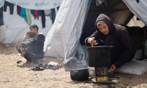 Over 31,045 Palestinians Killed in Israeli Military Offensive in Gaza
