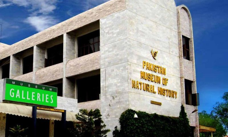 Pakistan
