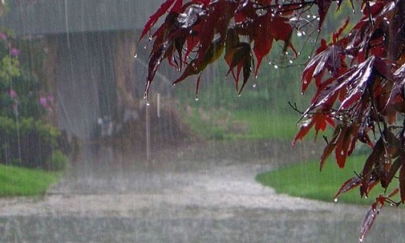 Rain