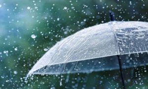 Rain