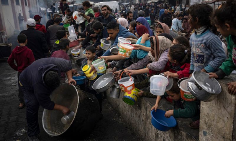 Gaza, Famine, Palestinians, Rafah, Israel, United Nations, UN, Food and Agriculture Organization, FAO, Food, Aid,