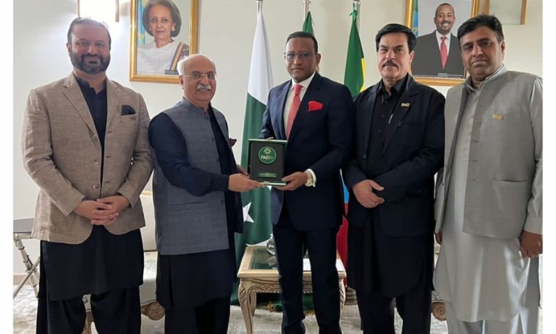 https://wenewsenglish.com/pakistans-minister-seeks-enhanced-role-of-sector-specialists-in-psdp-projects/