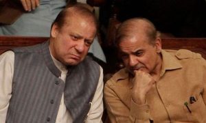 Pakistan, Nawaz Sharif, Prime Minister Shehbaz Sharif, Pakistan Muslim League-Nawaz, PML-N, Cabinet,