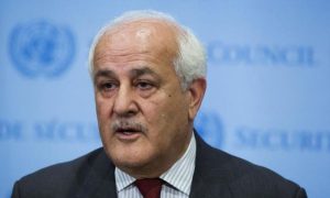 Palestinian, UN, Diplomacy,