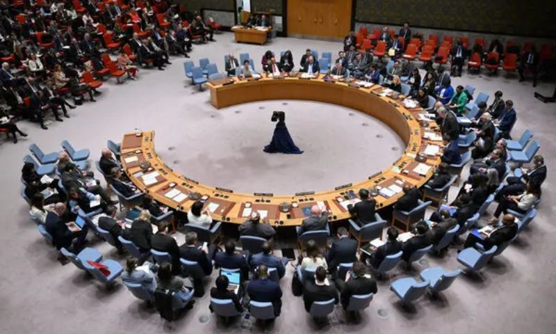Hamas, Veto, Israel, Membership, Palestinian, UN, United States,