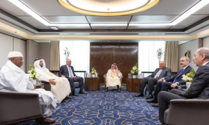 Arab-Islamic Gaza Committee Urges Urgent Sanctions on Israel