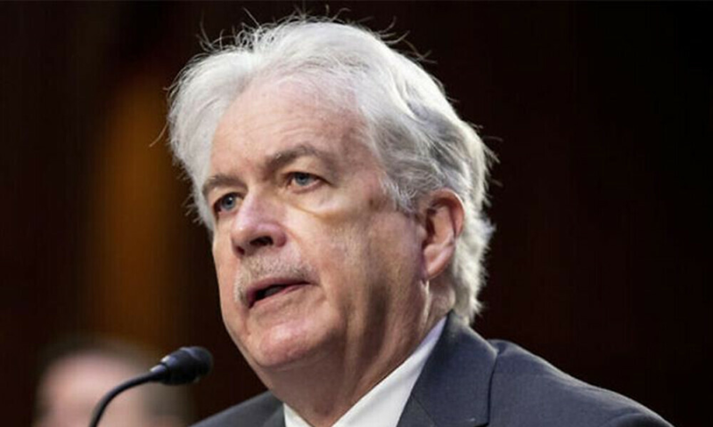 CIA Head Likely in Cairo for Gaza Hostage Talks