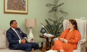 Pakistan, Ethiopia, government, Lahore, Karachi, Quetta, Peshawar, Sialkot, Ambassador, Climate Change, Environmental
