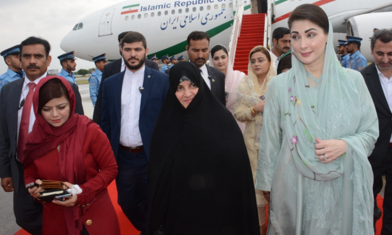 Punjab CM Welcomes Iranian Partnership in Livestock and Green Energy Sectors 4