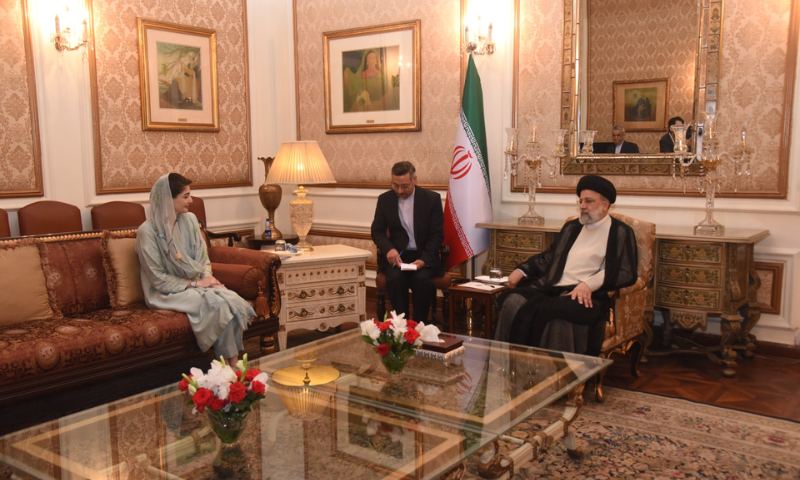 Punjab CM Welcomes Iranian Partnership in Livestock and Green Energy Sectors