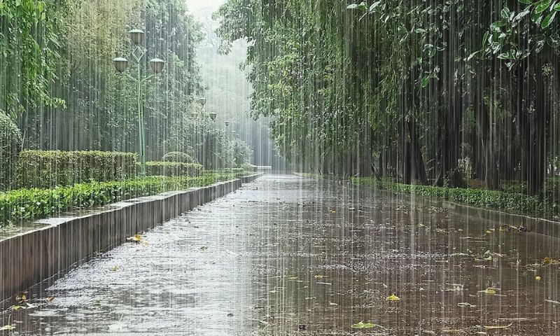 Rain