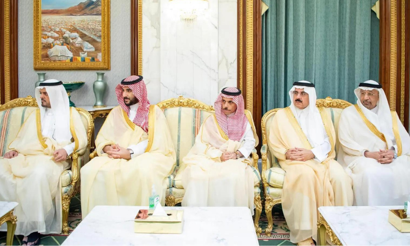 Saudi Crown Prince Pakistani Prime Minister Review Historical Ties 2