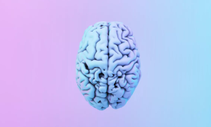 Study Shows Younger Generations Have Bigger Brains