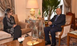 Arab League, UN Special Rapporteur, Palestine, Gaza, Palestinian, Cairo, Israeli, Genocide