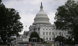 US House, Israel, Ukraine, Aid Package, Chinese, TikTok, Gaza, American, Congress, US House of Representatives, President Joe Biden, Russia, Iron Dome Air Defense System