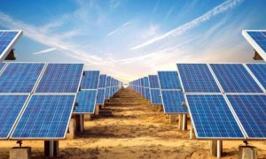Punjab, Government, Maryam Nawaz Sharif, Chief Minister, electricity, Roshan Punjab programme