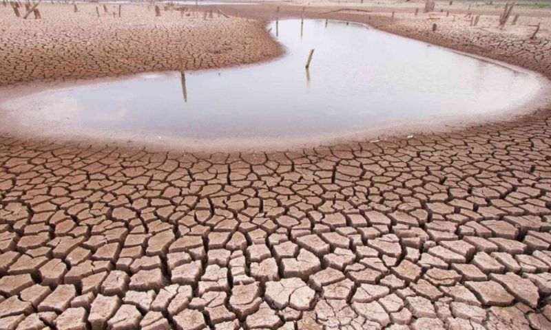 Vietnam, State of Emergency, Drought, Tien Giang, Media, Fresh Water, Tan Phu Dong, Ho Chi Minh City, Heatwaves, Climate Change, Rice, Fruit