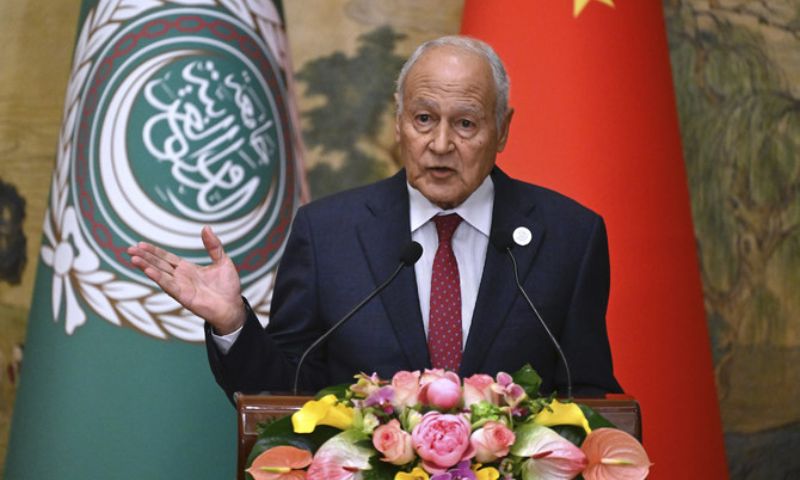 Arab League, China, Gaza, Palestinians, UN Security Council,