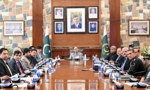 Pakistan's President, Asif Ali Zardari, Chief Minister’s House, law and order situation, Sindh, kidnapping, street crimes, Karachi, Chinese Nationals,