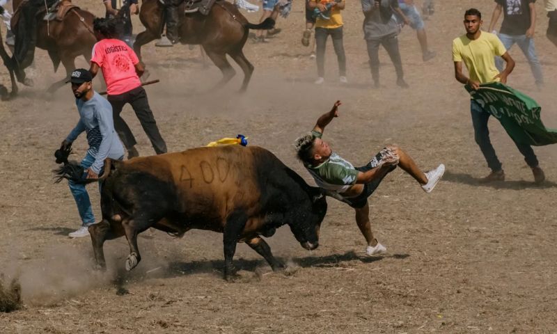 Colombia Passes Bill Banning Bullfighting 1