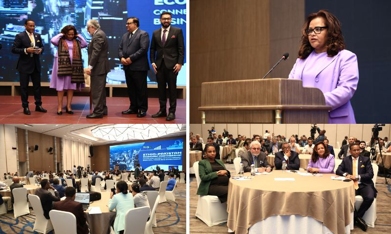 Ethio-Pakistan Business Forum, Addis Ababa, Economic, Trade, Pakistan, Ethiopia, Investment, Ambassador, Ethiopian Investment Holding 
