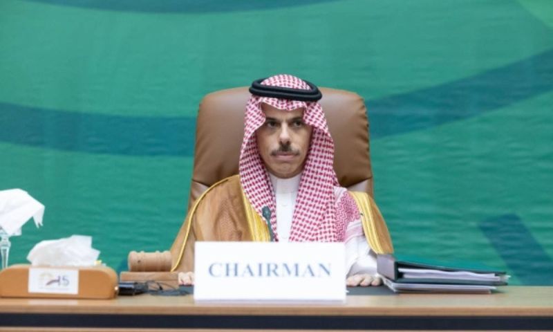 Saudi, Foreign Minister, Support, Palestine, OIC Conference, The Gambia, Banjul, Prince Faisal bin Farhan bin Abdullah, Palestinian, Israel, Gaza, Custodian of the Two Holy Mosques King Salman, Pakistan, Iranian