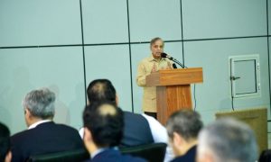 Pakistan’s Prime Minister, Shehbaz Sharif, Neelum-Jhelum Hydropower Project, NJHP, power generation, Azad Jammu and Kashmir,