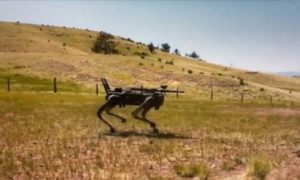 Artificial Intelligence, AI, MARSOC, Q-UGVm US, Bot, Marine,