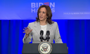 'Trump Did This': US VP Harris Fumes over Florida Abortion Ban