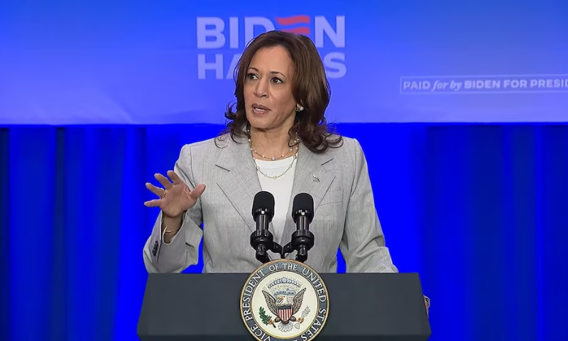 'Trump Did This': US VP Harris Fumes over Florida Abortion Ban